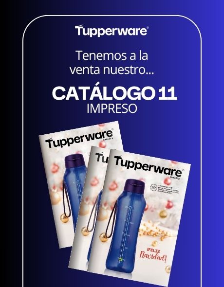 Imagen de Folleto Catálogo 11-2025 (CAT11) 