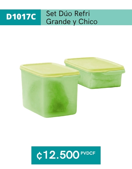 Imagen de Set Dúo Refri Grande y Chico (D1017C) 
