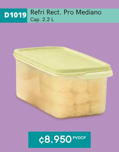 Imagen de Refri Rectangular Pro 2.2 L (D1019) 