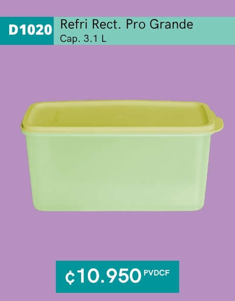 Imagen de Refri Rectangular Pro 3.1 L (D1020) 