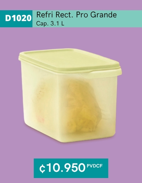 Imagen de Refri Rectangular Pro 3.1 L (D1020) 