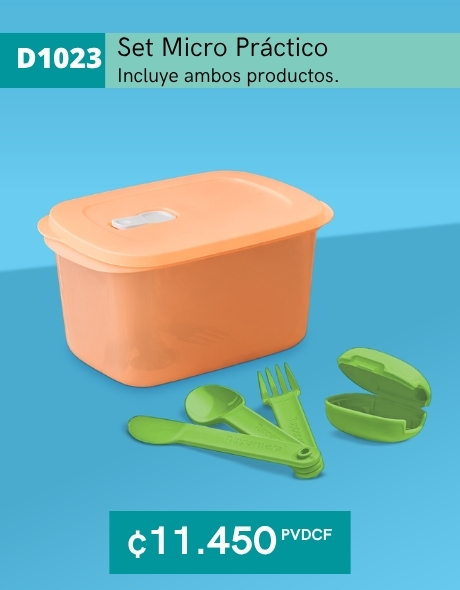 Imagen de Set Micro Práctico (D1023) 