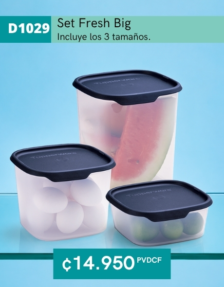 Imagen de Set Fresh Big (D1029) 