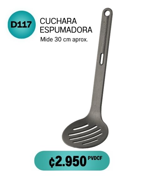 Imagen de Cuchara Espumadora (D117) 