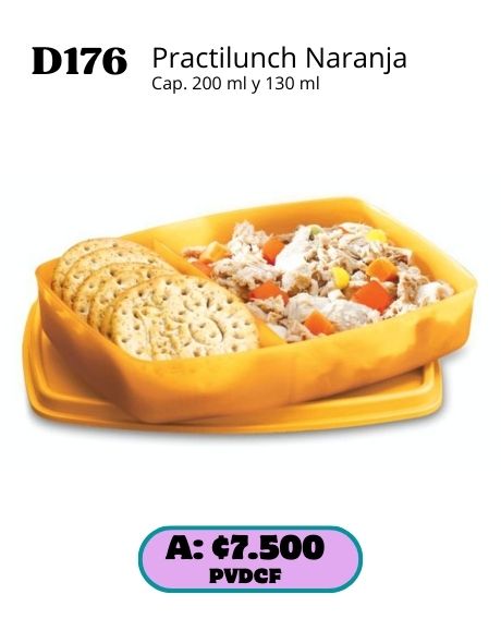 Imagen de Practilunch Naranja (D176) 