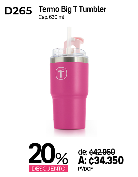Imagen de Big T Termo Rosa 630 ml (D265)