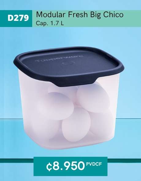 Imagen de Modular Fresh Big Cuadrado 1.7 L (D279) 