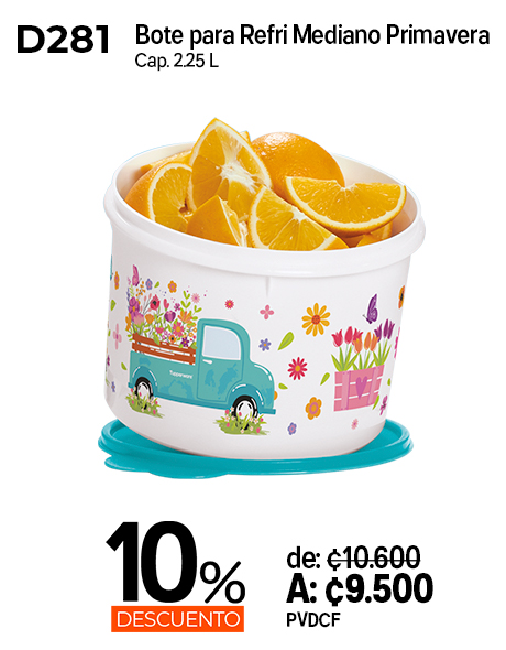 Imagen de Bote para Refri Mediano Primavera (D281)