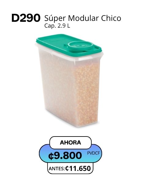 Imagen de Súper Modular Chico (D290) 