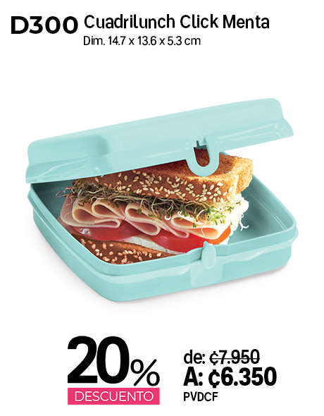 Imagen de Cuadrilunch Click Menta (D300)