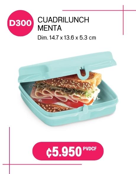 Imagen de Cuadrilunch Click Menta (D300) 