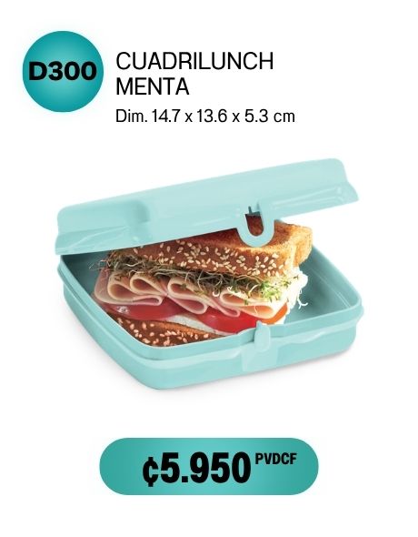 Imagen de Cuadrilunch Click Menta (D300) 