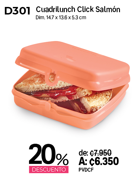 Imagen de Cuadrilunch Click Salmón (D301)