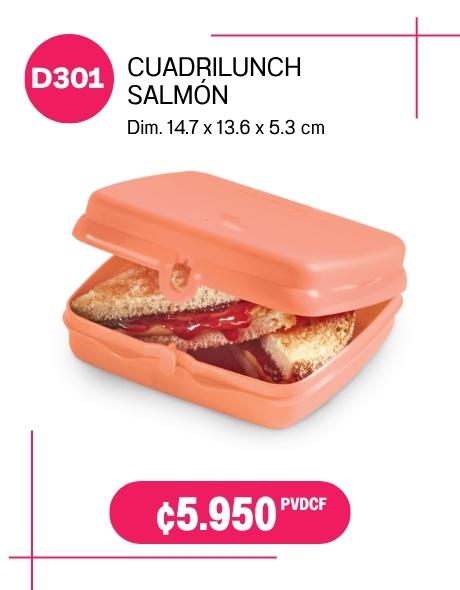 Imagen de Cuadrilunch Click Salmón (D301) 