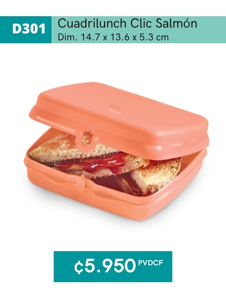 Imagen de Cuadrilunch Click Salmón (D301) 