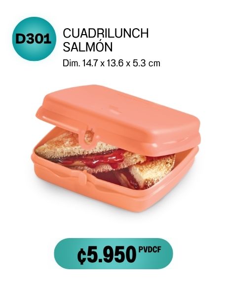 Imagen de Cuadrilunch Click Salmón (D301) 