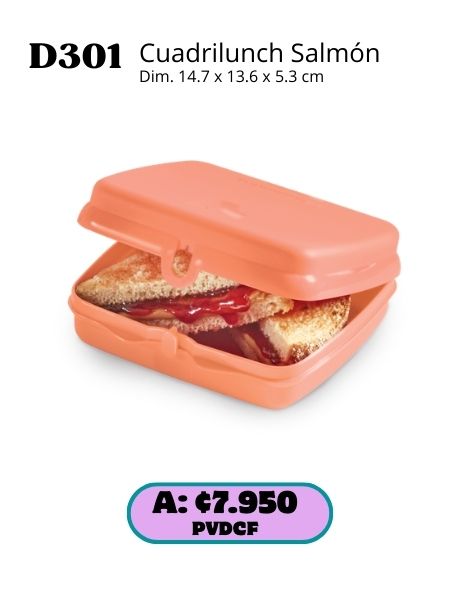 Imagen de Cuadrilunch Click Salmón (D301) 
