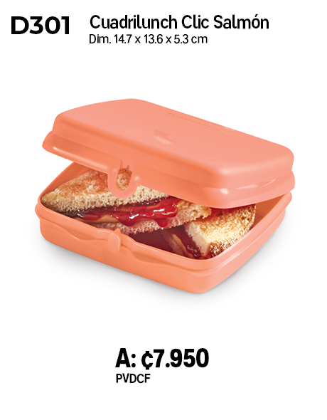 Imagen de Cuadrilunch Click Salmón (D301) 