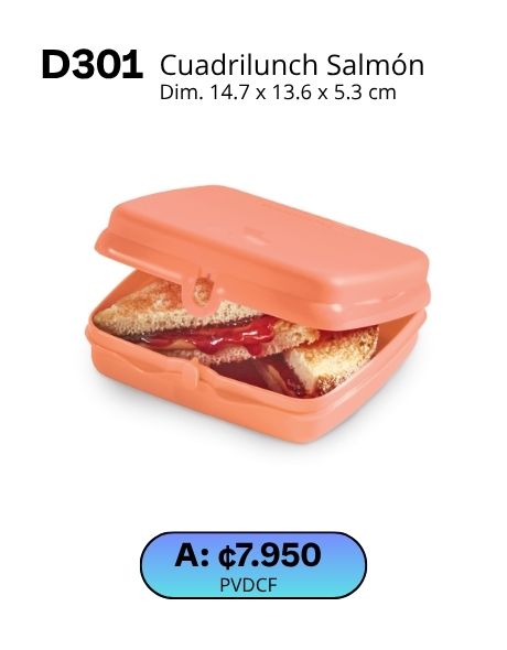 Imagen de Cuadrilunch Click Salmón (D301) 