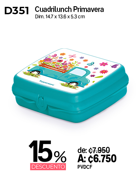 Imagen de Cuadrilunch Primavera (D351)