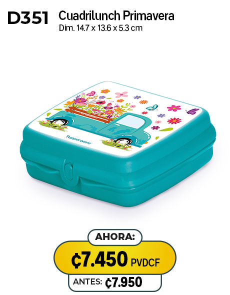 Imagen de Cuadrilunch Primavera (D351) 