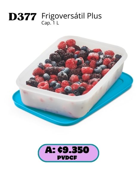 Imagen de Frigoversátil Plus 1 L Plasma (D377) 