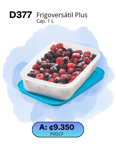 Imagen de Frigoversátil Plus 1 L Plasma (D377) 