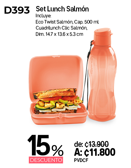 Imagen de Set Lunch Salmón (D393)