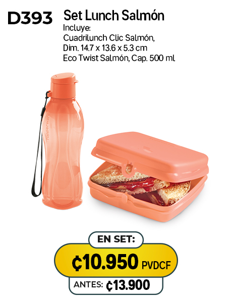 Imagen de Set Lunch Salmón (D393) 