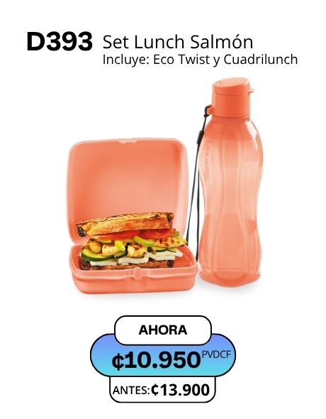 Imagen de Set Lunch Salmón (D393) 