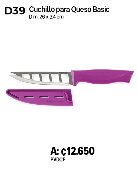 Imagen de Cuchillo para Queso Basic (D39)