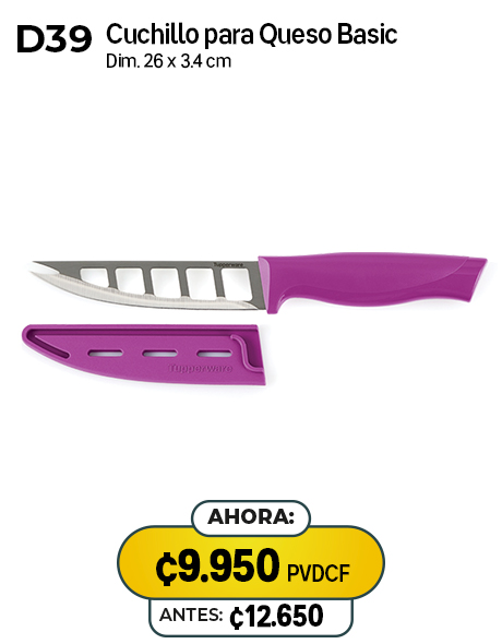 Imagen de Cuchillo para Queso Basic (D39) 