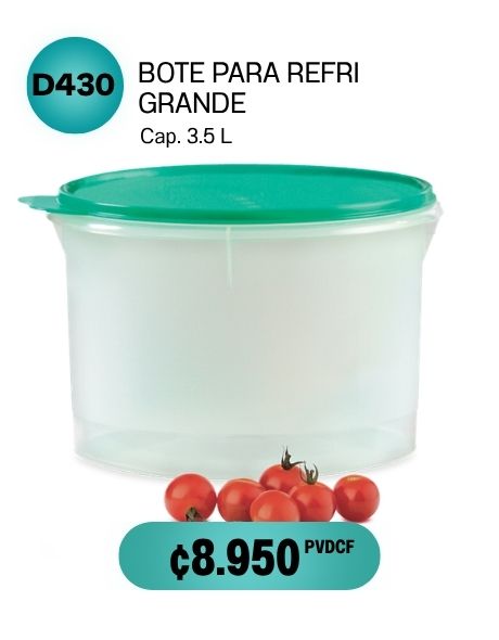 Imagen de Bote para Refri Grande (D430) 