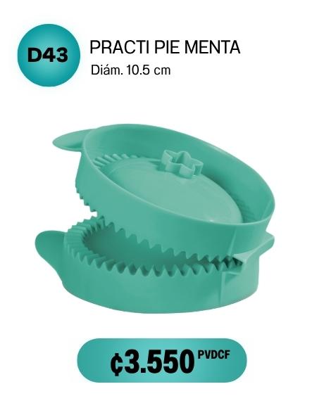 Imagen de Practi Pie Menta (D43) 