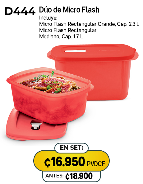 Imagen de Dúo de Micro Flash (D444) 