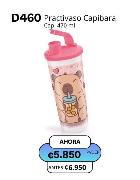 Imagen de Practivaso Capibara (D460) 