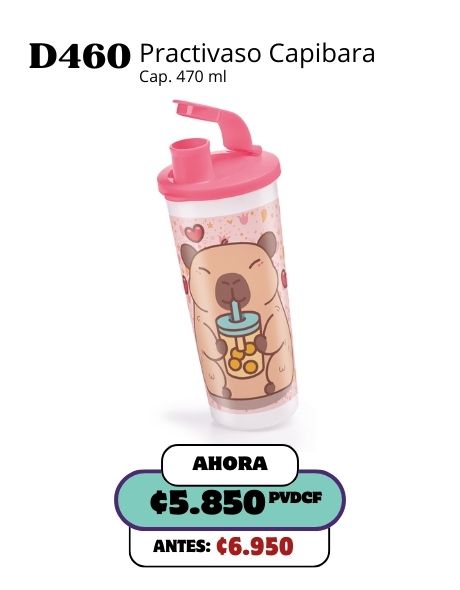 Imagen de Practivaso Capibara (D460) 