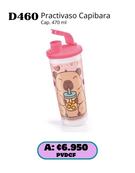 Imagen de Practivaso Capibara (D460) 