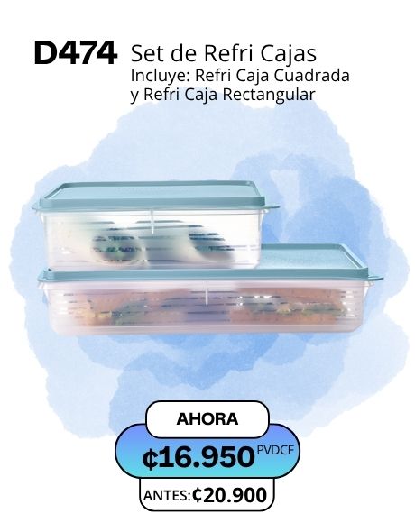 Imagen de Set de Refri Cajas (D474) 