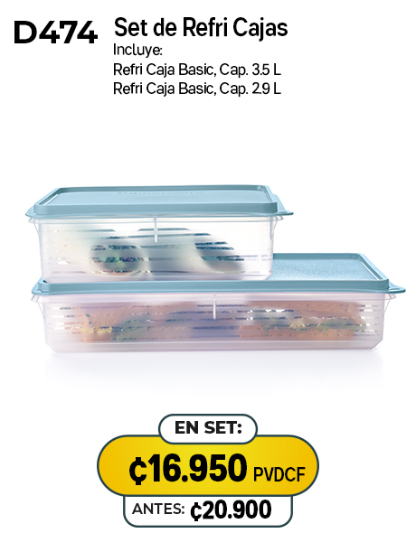 Imagen de Set de Refri Cajas (D474) 
