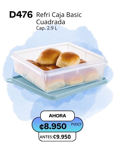 Imagen de Refri Caja Basic 2.9 L (D476) 