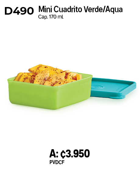 Imagen de Mini Cuadrito Verde-Aqua (D490) 