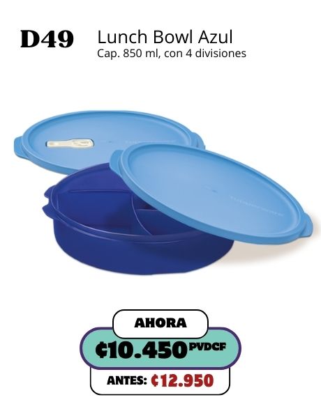 Imagen de Lunch Bowl Azul (D49) 
