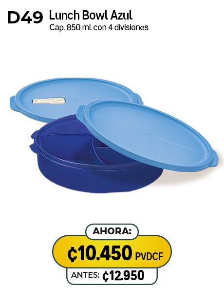 Imagen de Lunch Bowl Azul (D49) 