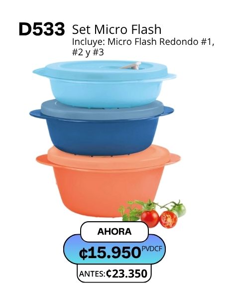 Imagen de Set Micro Flash (D533) 