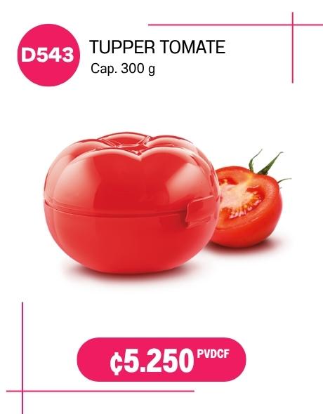 Imagen de Tupper Tomate (D543) 