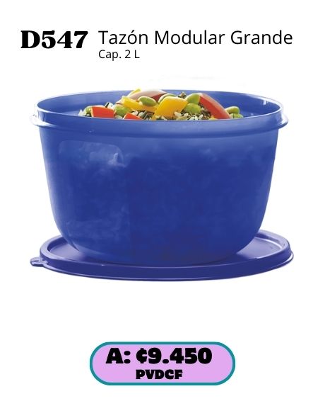 Imagen de Tazón Modular Grande (D547) 