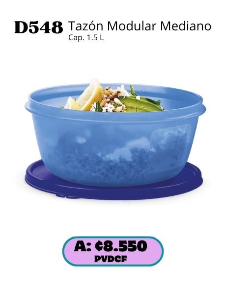Imagen de Tazón Modular Mediano (D548) 