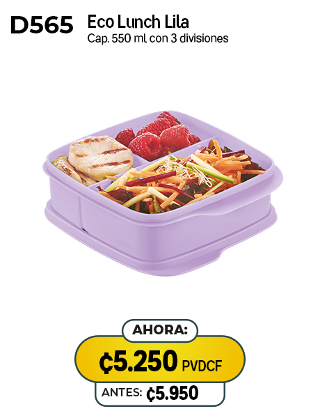 Imagen de Eco Lunch Lila (D565) 