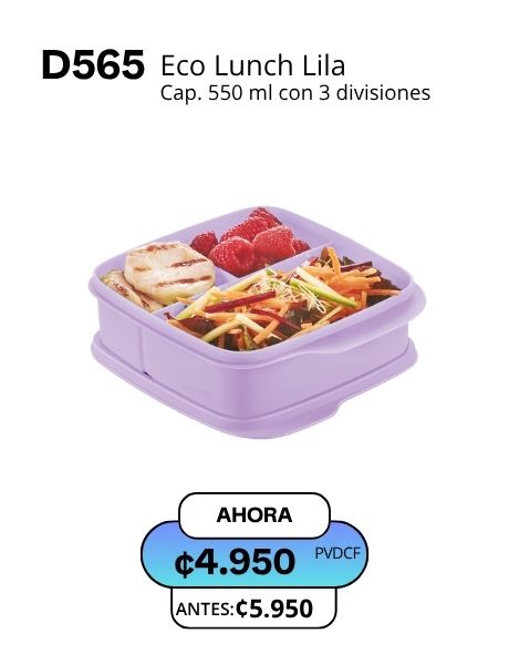 Imagen de Eco Lunch Lila (D565) 